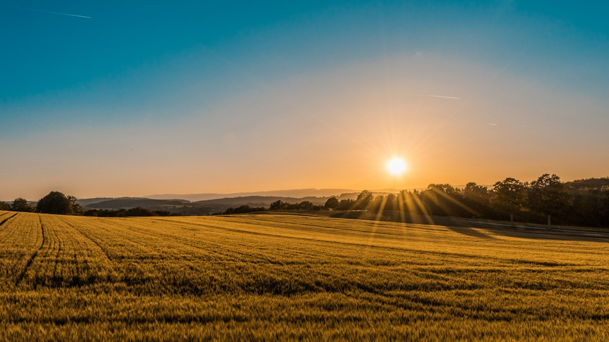 Texas land and ranch investment
